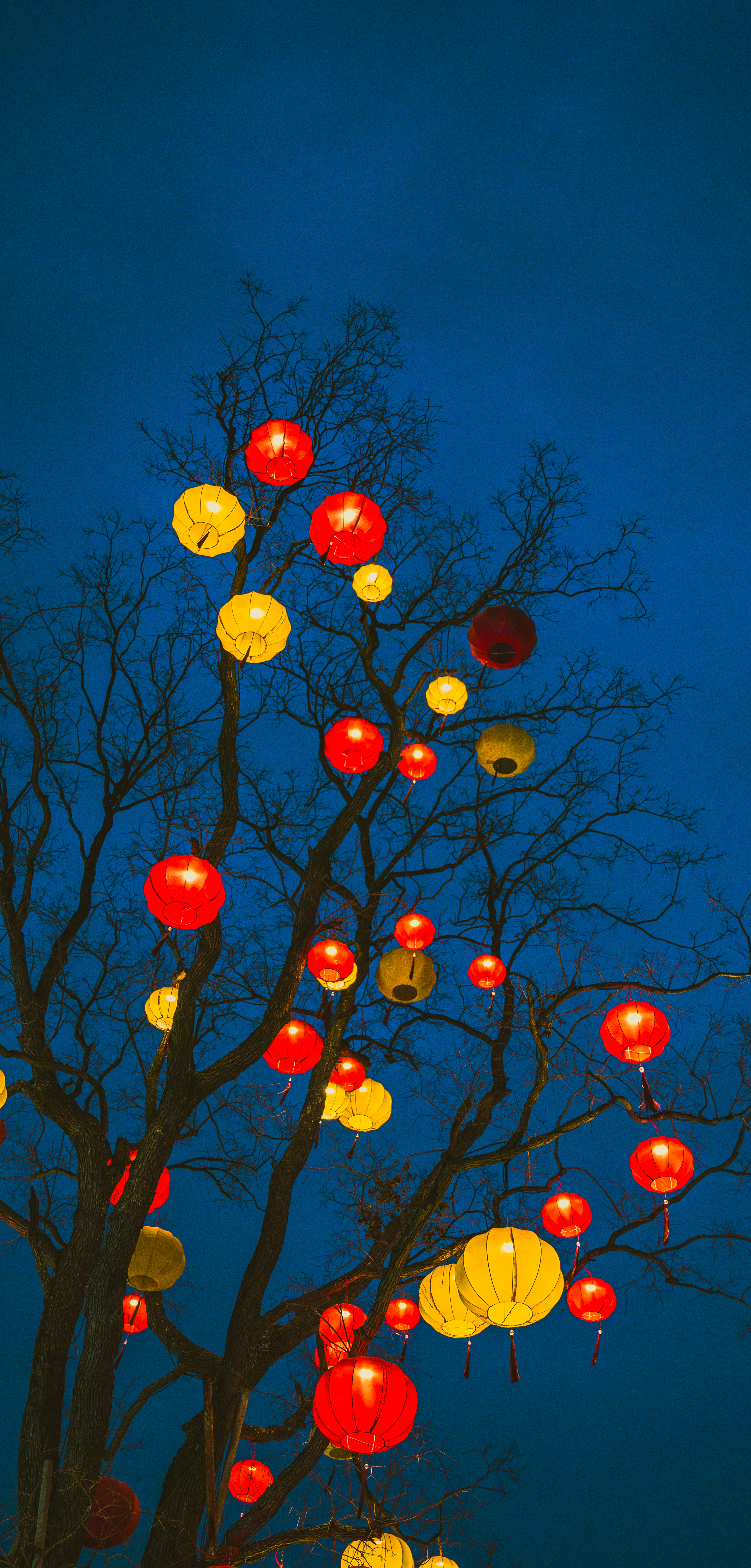 https://mayue-1312060474.cos.ap-chengdu.myqcloud.com/picgo/43d30125ae1f3e4fbffda0af2dad7f02.jpg
